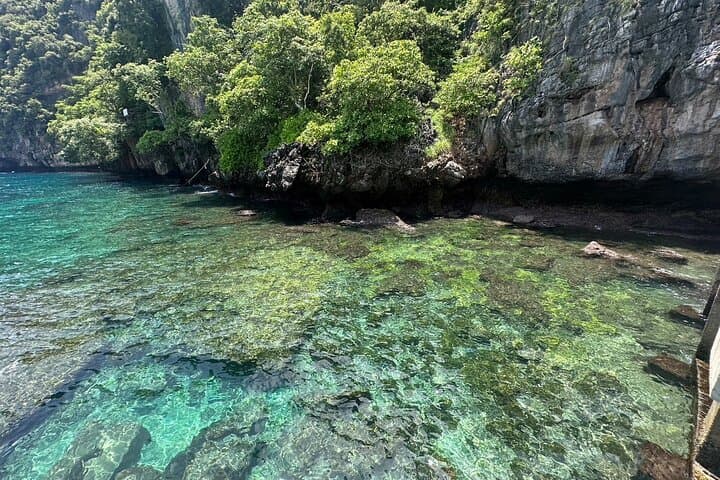 Private Phi Phi & Bamboo Islands Speedboat Tour from Phuket