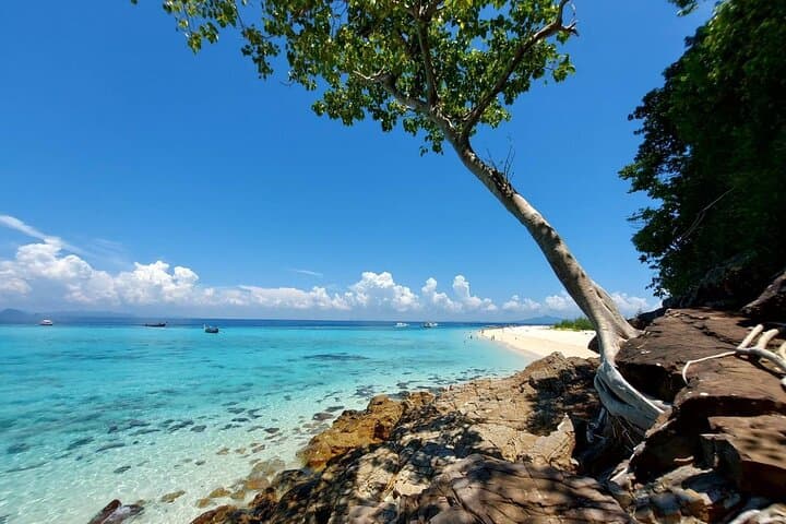 Private Phi Phi & Bamboo Islands Speedboat Tour from Phuket photo 3
