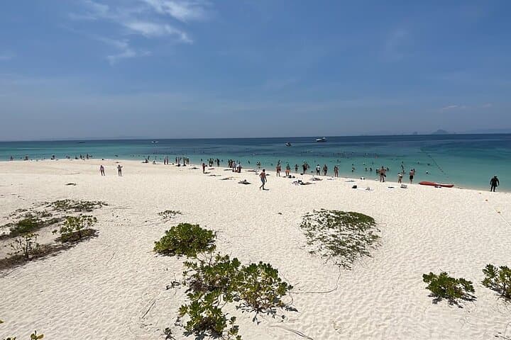Private Phi Phi & Bamboo Islands Speedboat Tour from Phuket photo 4