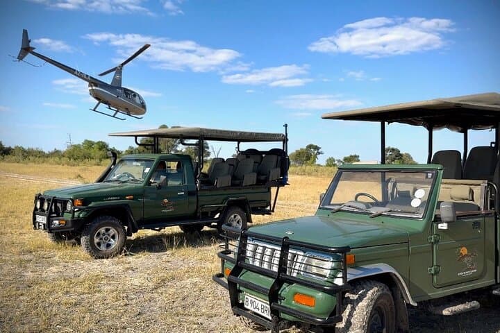 Full-Day Mokoro Adventure in the Okavango Delta — Mokoro Safari from Maun photo 6