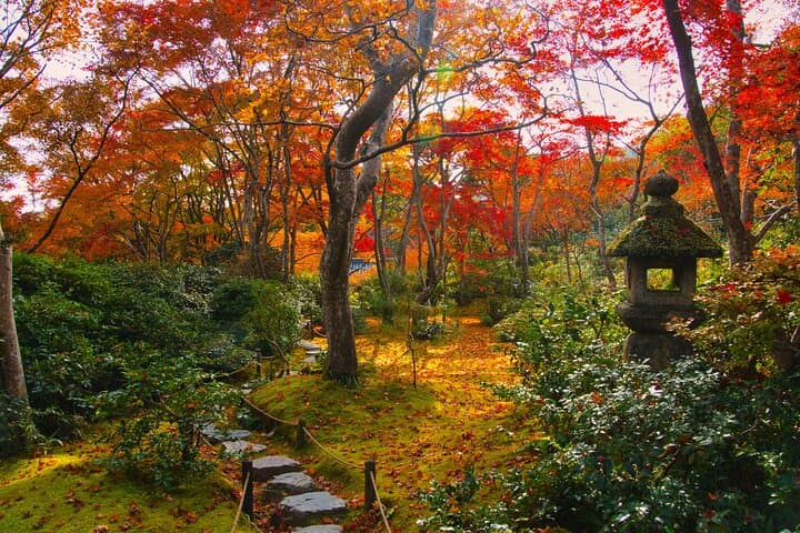 Arashiyama Fall Foliage Walking Tour: Private Autumn Walk Through Bamboo, Temples & Gardens photo 5
