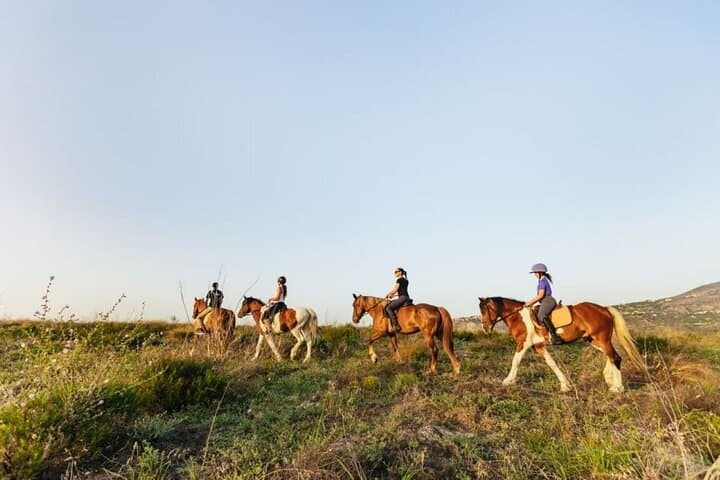 Horseback Ride to Finikia & Mount Giouchtas with Traditional Cretan Lunch photo 6