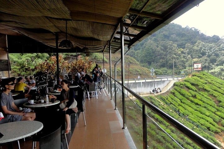 Cameron Highlands Private Nature Day Trip from Kuala Lumpur photo 6
