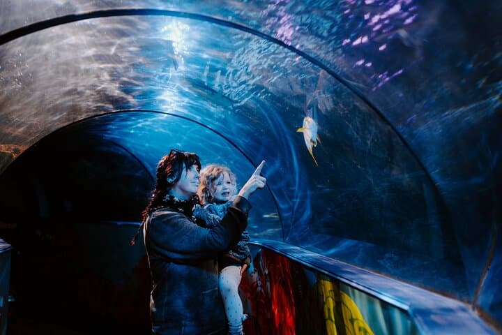 SEA LIFE Weymouth: Up-Close Encounters at Dorset’s Ocean Tunnel