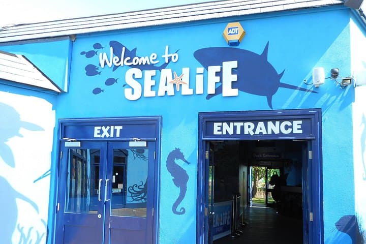 SEA LIFE Weymouth: Up-Close Encounters at Dorset’s Ocean Tunnel photo 2