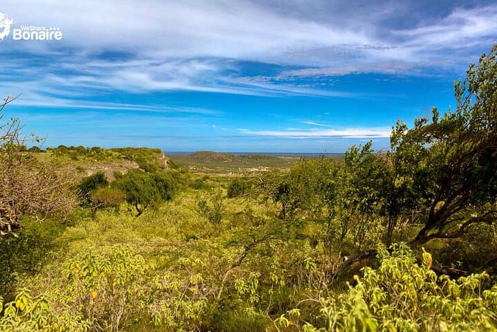 Private 2-Hour South Bonaire Island Tour for Singles & Couples photo 3