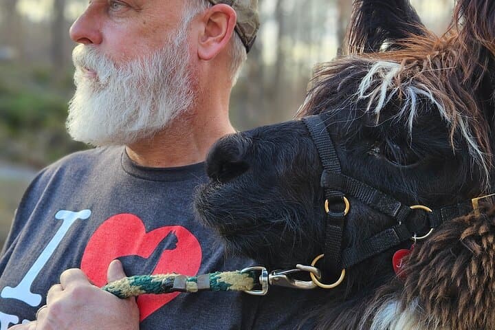 Alpaca and Llama Encounter at Jenny Jump: Guided Walk & Meet-and-Greet photo 4
