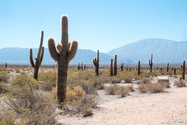 Multi-Day Salta Tour: Cafayate, Cachi, Salinas Grandes & Quebrada de Humahuaca photo 3