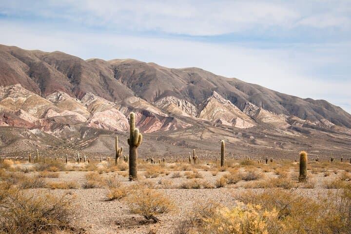 Multi-Day Salta Tour: Cafayate, Cachi, Salinas Grandes & Quebrada de Humahuaca photo 4