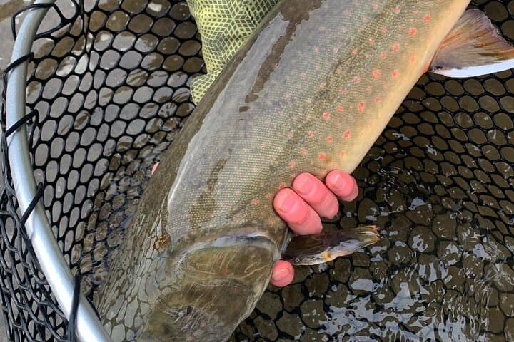 Half-Day Walk & Wade in the Columbia River Valley: Guided Shore Fishing and Casting Lessons photo 5