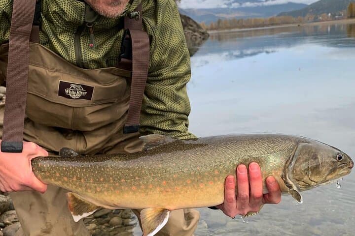 Half-Day Walk & Wade in the Columbia River Valley: Guided Shore Fishing and Casting Lessons photo 4