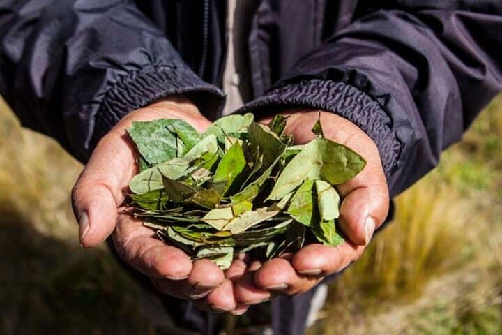 Gamarra Bizarre Tour and Coca Leaf Reading: Lima’s Urban Witch Market Experience photo 5