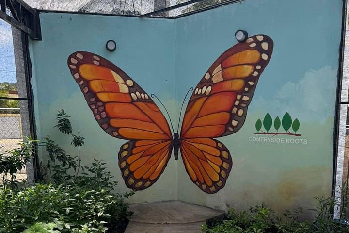 Puerto Plata City Tour & Butterfly Garden: Chocolate, Rum and Colonial Sights photo 3