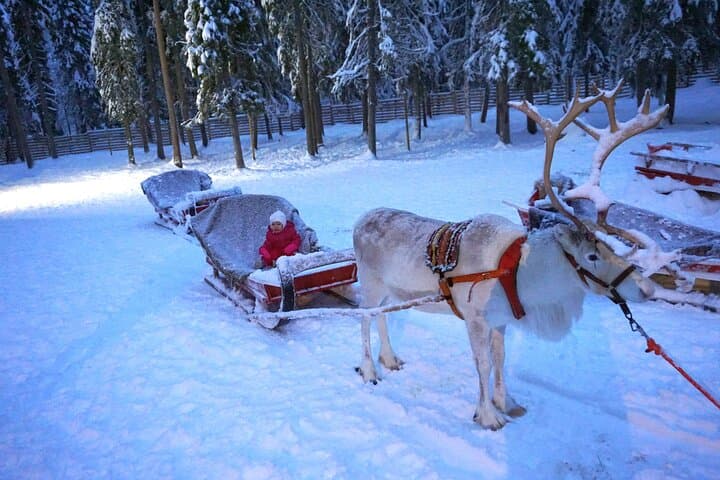 Chasing the Aurora: 6-Day Rovaniemi to Lofoten Arctic Adventure photo 3