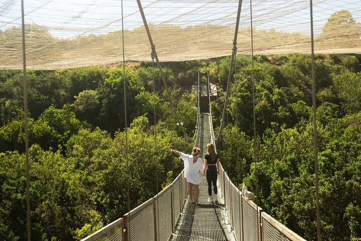 Discover Tricao Park: Full-Day Tour to Latin America's Largest Aviary from Santiago