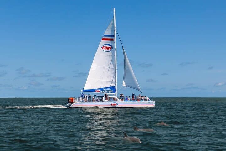 Sail With Santa Dolphin Watch — 90-Min Harbor Cruise in St. Augustine