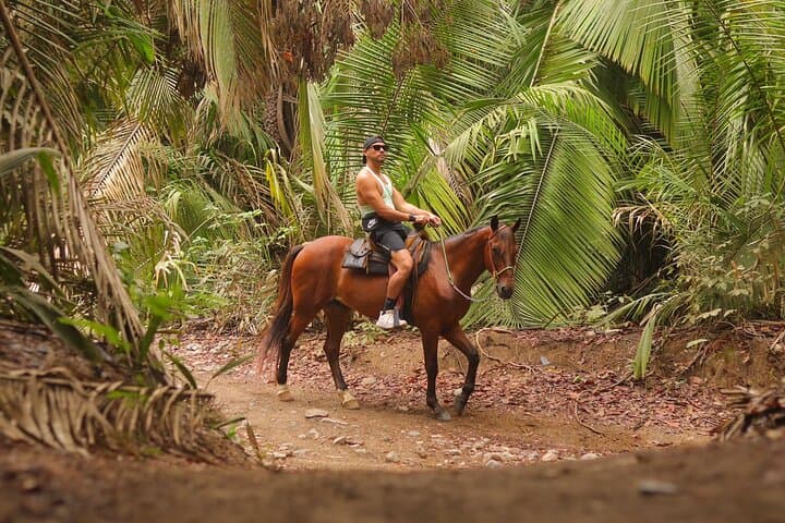 Private Jungle Horseback Adventure in Sayulita: Coastal Trail Ride to a Hidden Beach