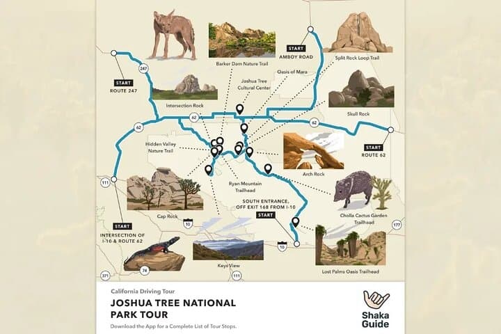Self-Guided Joshua Tree National Park Audio Tour: Drive, Hike & Keys View Highlights photo 4
