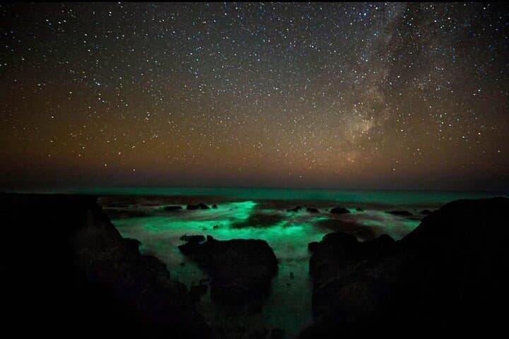 Bioluminescence Kayak Tour in San Juan Islands: Griffin Bay Night Paddle photo 2
