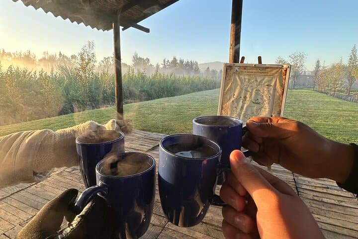 Xochimilco Sunrise Cayuco Experience with Organic Chinampa Breakfast photo 3