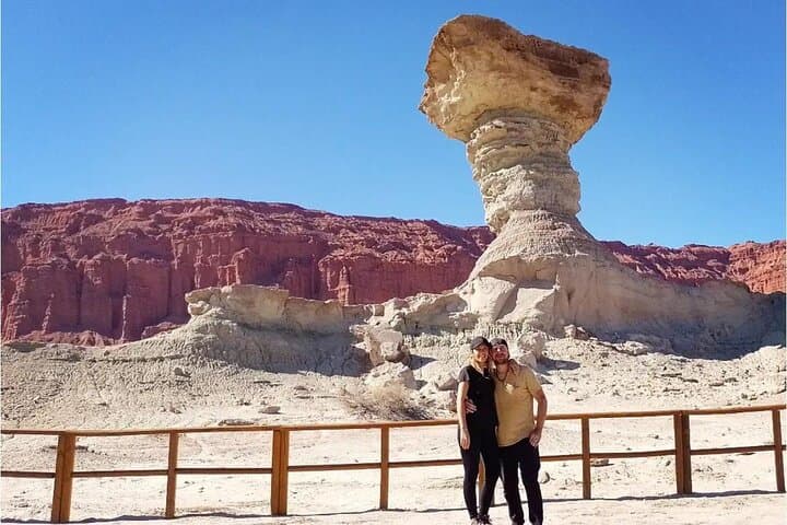 Full-Day Ischigualasto (Valley of the Moon) Tour — Geology & Fossils