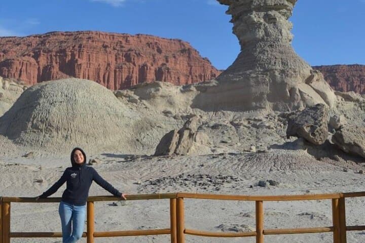 Full-Day Ischigualasto (Valley of the Moon) Tour — Geology & Fossils photo 3