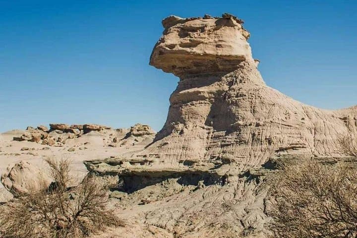 Full-Day Ischigualasto (Valley of the Moon) Tour — Geology & Fossils photo 4