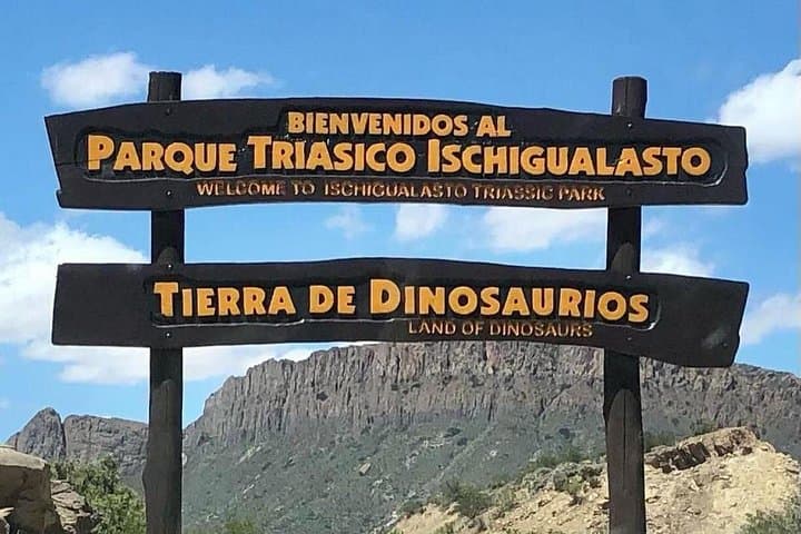 Full-Day Ischigualasto (Valley of the Moon) Tour — Geology & Fossils photo 6