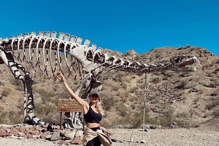Full-Day Ischigualasto (Valley of the Moon) Tour — Geology & Fossils photo 5