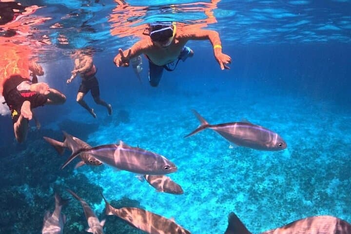 Cozumel Snorkel Adventure: El Cielo & El Cielito Catamaran photo 2