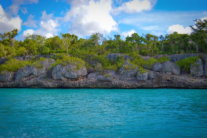Saona Island Day Trip from Punta Cana — All-Inclusive Speedboat & Catamaran Tour photo 4