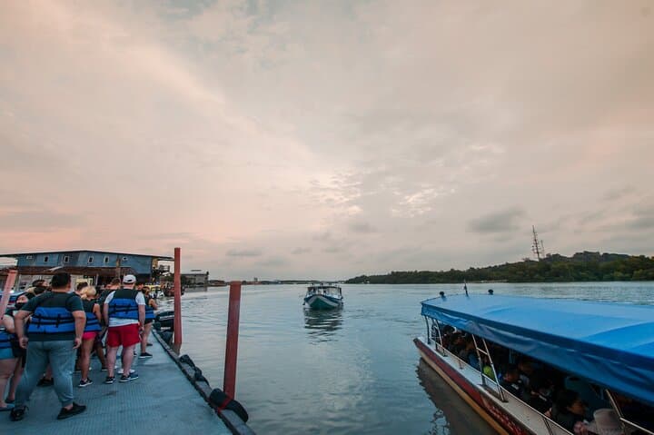 Kuala Selangor Fireflies & Blue Tears Private Night Tour with Seafood Dinner