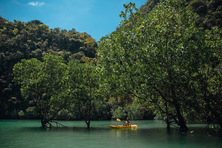 Hong Island by Starlight Canoe Tour: Bioluminescent Kayaking in Phang Nga Bay photo 2