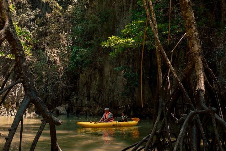 Hong Island by Starlight Canoe Tour: Bioluminescent Kayaking in Phang Nga Bay photo 5