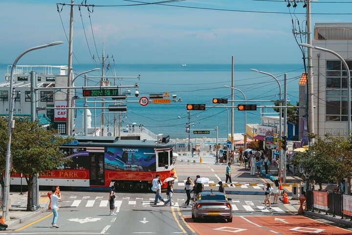 Savor Busan: Makgeolli Workshop, Tongdosa Temple & Blue Line Café Views photo 4