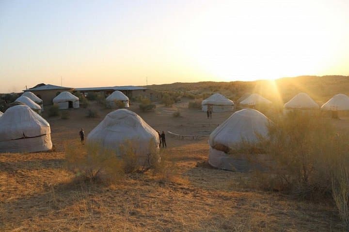 2-Day Yurt Safari from Bukhara to Samarkand — Aydarkul, Sarmishsay & Nurata photo 2