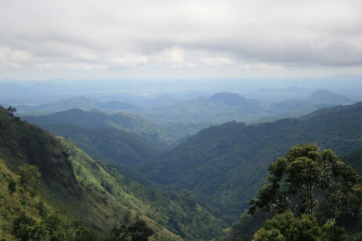 Highlands to Coast: 3-Day Private Tour Through Sri Lanka’s Tea Country and Galle photo 4