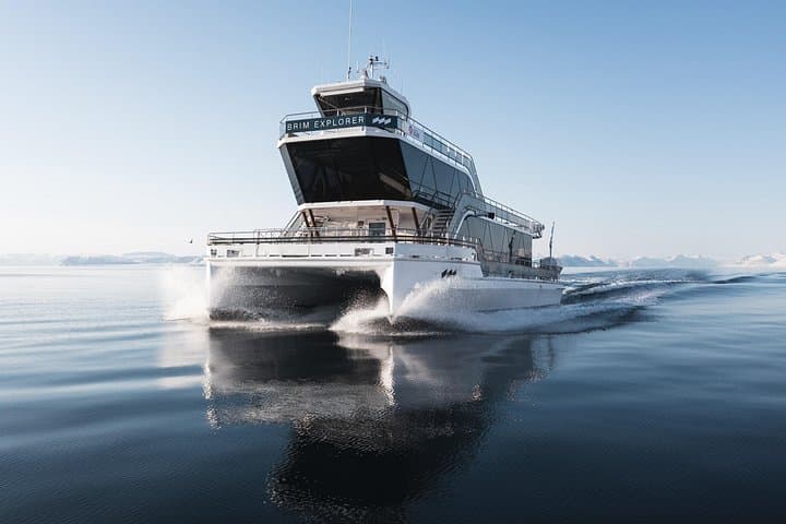 Silent Winter Fjord Cruise: Beiarfjord & Saltstraumen from Bodø