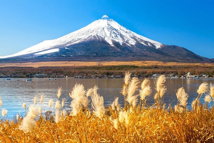 Full-Day Mt. Fuji, Lake Kawaguchi & Yamanaka Tour with Onsen and Swan Boat photo 5