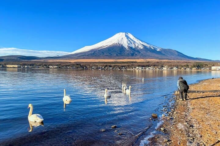 Full-Day Mt. Fuji, Lake Kawaguchi & Yamanaka Tour with Onsen and Swan Boat photo 6