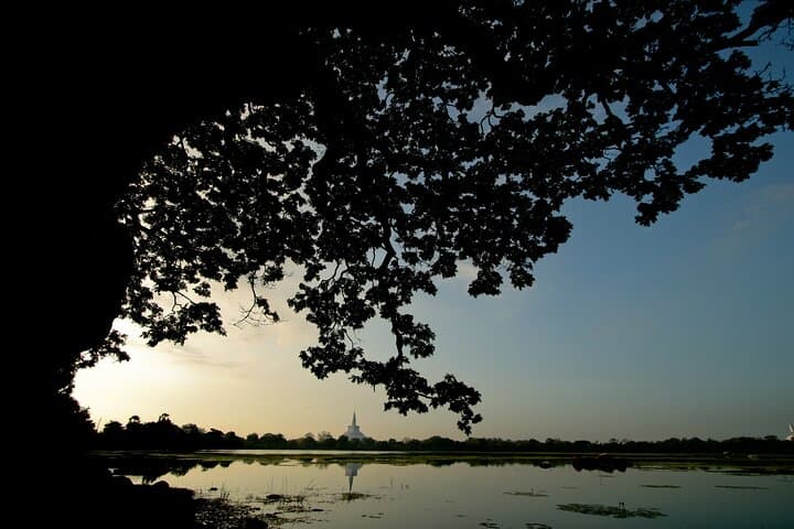 4-Day Private Historical Tour in Sri Lanka: Sigiriya, Anuradhapura & Kandy photo 2