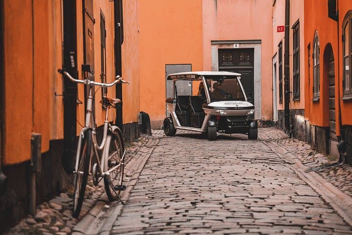 See Stockholm by Golf Cart: Private 60–120 Minute Highlights Tour photo 4