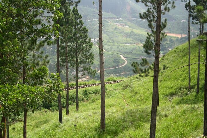 4-Day Private Historical Tour in Sri Lanka: Sigiriya, Anuradhapura & Kandy photo 5