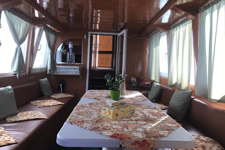 Danube Delta Day Cruise from Tulcea: Slow Boat to Marshes & Birdlife photo 6