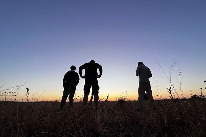 Inside Doñana: A 4x4 Safari to See the Iberian Lynx photo 6