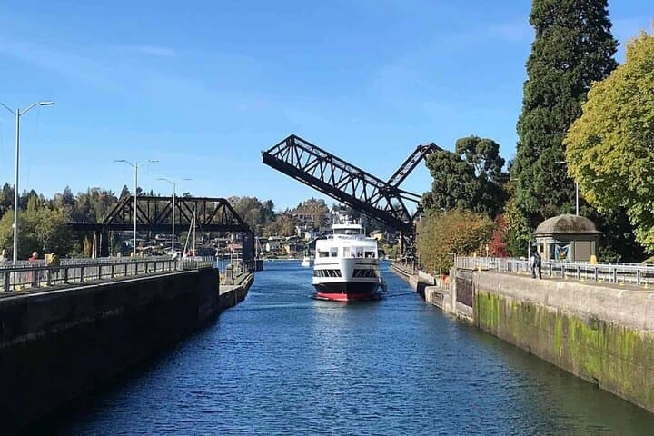 Seattle Hop-On Hop-Off Bus with Locks or Harbour Cruise — See the City by Land and Sea photo 3