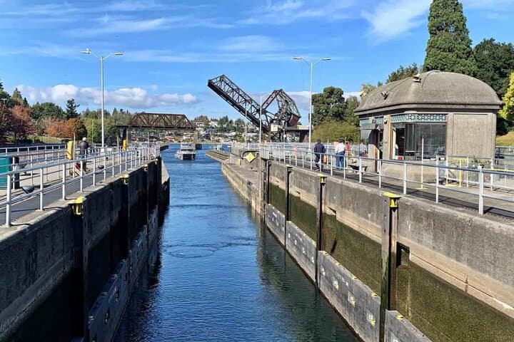 Seattle Hop-On Hop-Off Bus with Locks or Harbour Cruise — See the City by Land and Sea photo 5