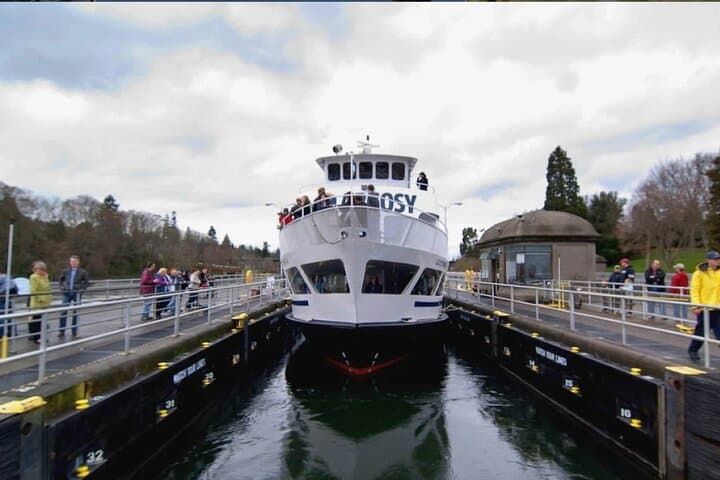 Seattle Hop-On Hop-Off Bus with Locks or Harbour Cruise — See the City by Land and Sea photo 6
