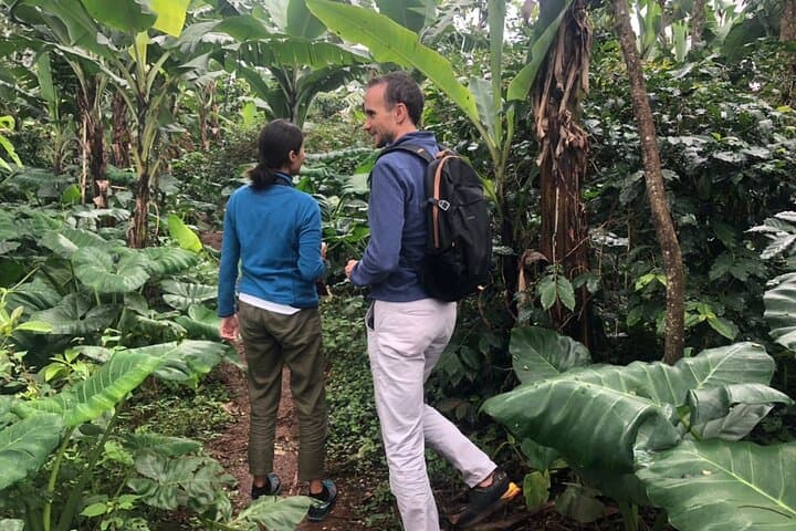 Materuni Waterfalls and Coffee Tour — Day Trip from Moshi photo 2