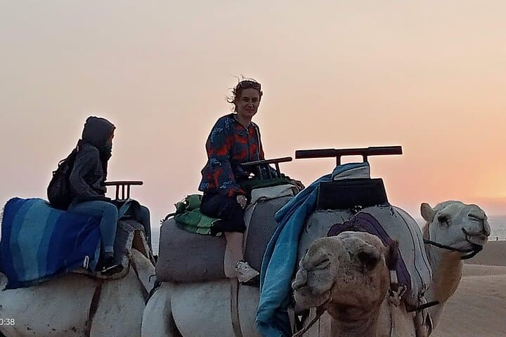 Beach Dromedary Ride Near Essaouira: 1-Hour Camel Caravan to Diabat Dunes photo 4